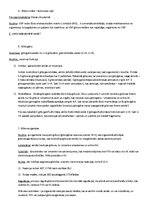 Konspekts 'Ogļhidrātu metabolisms', 3.