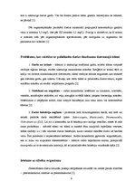 Diplomdarbs 'Dzelzs eksprestestu lietošanas iespēju izpēte', 9.