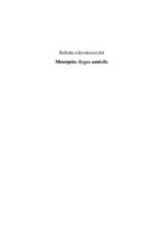 Referāts 'Monopola tirgus modelis', 1.