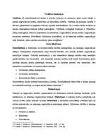 Konspekts 'Vadības funkcijas: koordinēšana un motivēšana', 1.