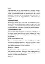 Eseja 'Sports skolā kā personības attīstības instruments', 1.