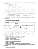 Konspekts 'Saimniecisko procesu tehnoloģiskā vadīšana', 4.