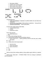 Konspekts 'Saimniecisko procesu tehnoloģiskā vadīšana', 23.