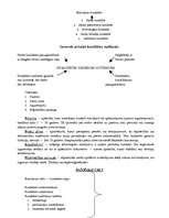 Konspekts 'Saimniecisko procesu tehnoloģiskā vadīšana', 33.