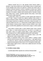 Referāts 'Likviditātes rādītāju analīze', 8.