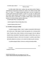 Referāts 'Likviditātes rādītāju analīze', 9.