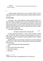 Referāts 'Likviditātes rādītāju analīze', 11.
