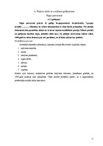 Prakses atskaite 'Prakses sociālais darbs', 11.