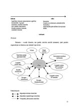 Prakses atskaite 'Prakses sociālais darbs', 13.