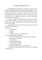 Diplomdarbs 'VAS "Latvijas Pasts" pakalpojumu konkurētspēja', 10.