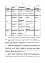 Diplomdarbs 'VAS "Latvijas Pasts" pakalpojumu konkurētspēja', 11.