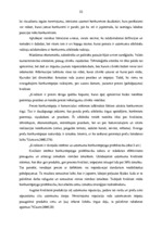 Diplomdarbs 'VAS "Latvijas Pasts" pakalpojumu konkurētspēja', 19.