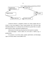 Diplomdarbs 'VAS "Latvijas Pasts" pakalpojumu konkurētspēja', 20.