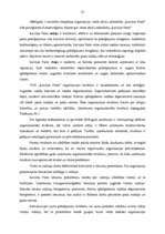 Diplomdarbs 'VAS "Latvijas Pasts" pakalpojumu konkurētspēja', 22.