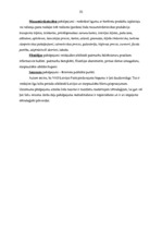 Diplomdarbs 'VAS "Latvijas Pasts" pakalpojumu konkurētspēja', 29.