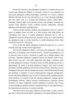 Diplomdarbs 'VAS "Latvijas Pasts" pakalpojumu konkurētspēja', 33.