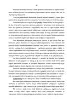 Diplomdarbs 'VAS "Latvijas Pasts" pakalpojumu konkurētspēja', 43.