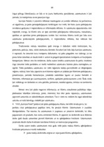 Diplomdarbs 'VAS "Latvijas Pasts" pakalpojumu konkurētspēja', 61.