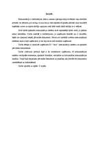 Referāts 'Lietišķā komunikācija', 1.