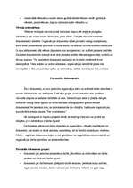 Referāts 'Lietišķā komunikācija', 11.