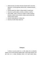 Referāts 'Lietišķā komunikācija', 12.