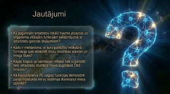 Prezentācija 'Nervu sistēmas arhitektūra un smadzeņu stumbrs', 15.