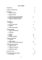 Biznesa plāns 'SIA "McIT Services" biznesa plāns', 2.