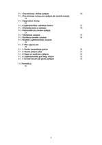 Biznesa plāns 'SIA "McIT Services" biznesa plāns', 3.