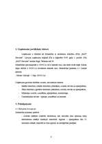 Biznesa plāns 'SIA "McIT Services" biznesa plāns', 6.