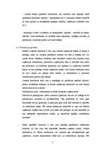 Biznesa plāns 'SIA "McIT Services" biznesa plāns', 7.