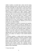 Biznesa plāns 'SIA "McIT Services" biznesa plāns', 10.