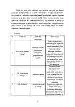 Biznesa plāns 'SIA "McIT Services" biznesa plāns', 11.