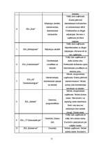 Biznesa plāns 'SIA "McIT Services" biznesa plāns', 12.