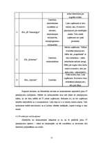 Biznesa plāns 'SIA "McIT Services" biznesa plāns', 13.