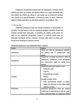 Biznesa plāns 'SIA "McIT Services" biznesa plāns', 15.