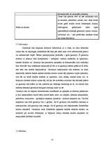 Biznesa plāns 'SIA "McIT Services" biznesa plāns', 16.