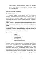 Biznesa plāns 'SIA "McIT Services" biznesa plāns', 19.