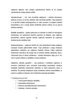 Biznesa plāns 'SIA "McIT Services" biznesa plāns', 20.