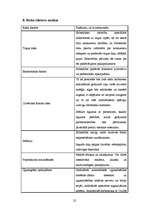 Biznesa plāns 'SIA "McIT Services" biznesa plāns', 22.