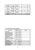 Biznesa plāns 'SIA "McIT Services" biznesa plāns', 26.