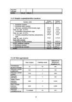 Biznesa plāns 'SIA "McIT Services" biznesa plāns', 28.