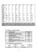 Biznesa plāns 'SIA "McIT Services" biznesa plāns', 31.