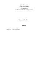 Referāts 'Maltas palīdzības Ordenis', 1.