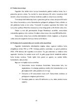 Diplomdarbs 'Eiropas Savienības ietekme uz norēķinu karšu biznesu Latvijā', 45.