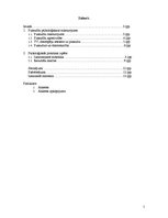 Referāts 'Savstarpējā sakarība starp datorspēļu lietotāju atkarību un pusaudžu agresivitāt', 2.