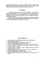 Referāts 'Savstarpējā sakarība starp datorspēļu lietotāju atkarību un pusaudžu agresivitāt', 13.