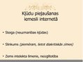 Prezentācija 'Pareizrakstības kļūdas interneta vietnēs', 13.