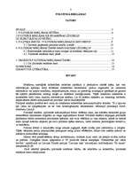 Referāts 'Politiskā reklāma', 1.