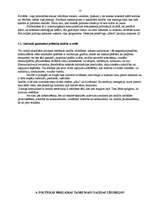 Referāts 'Politiskā reklāma', 8.