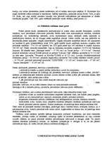 Referāts 'Politiskā reklāma', 11.